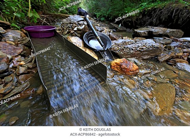 Recreational gold panning on a creek in the Cariboo, near Wells, British Columbia