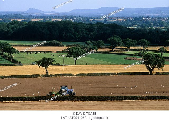 Farmers work the land using tractors to rotivate and plough the earth and turn over the soil for planting crops. Seagulls often follow the machinery to snatch...