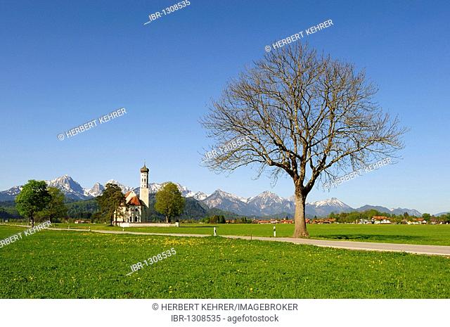 Pilgrimage Church of St. Coloman near Fuessen, Thannheim Mountains, spring, East Allgaeu, Allgaeu, Bavaria, Germany, Europe