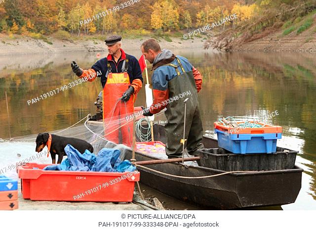 15 October 2019, Saxony-Anhalt, Hasselfelde: Professional fisherman Gernot Quaschny (left) and Sven Ahlendorf fish the small whitefish