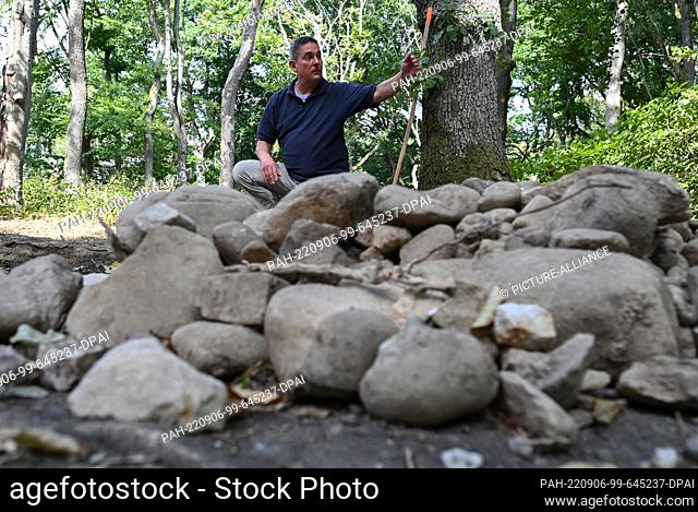 PRODUCTION - 30 August 2022, Hessen, Hofheim am Taunus: Professor Detlef Gronenborn of the Leibniz Research Institute for Archaeology stands in the forest on...