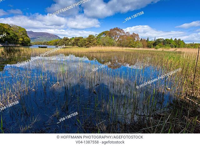 Peaceful lake scene in the Killarney National Park, County Kerry, Ireland, Europe