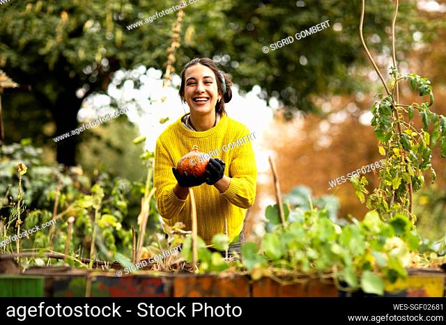 Smiling woman harvesting pumpkin while standing at urban garden