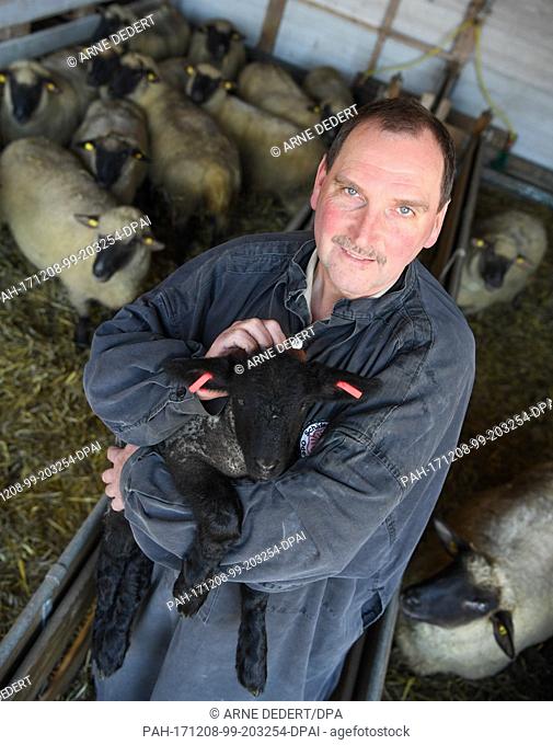 Bernd Keller, first chairman of the Odenwaelder Schaefervereins (lit. Odenwald shepherds' association), holding a lamb in his barn