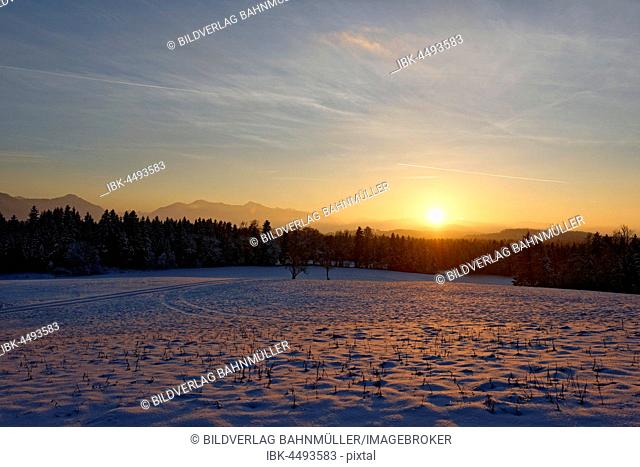 Sunset in winter, Nantesbuch, Bad Heilbrunn, Voralpen, Upper Bavaria, Bavaria, Germany