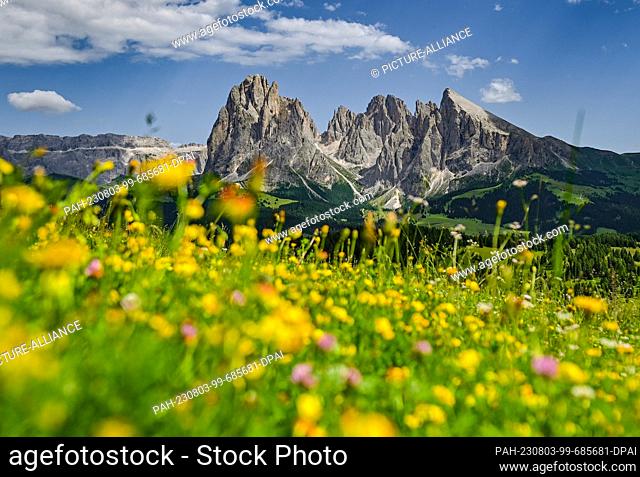 19 July 2023, Italy, Wolkenstein: View over the Alpe di Siusi in South Tyrol in the Dolomites to the mountain peaks Forcella del Sassolungo with Sassolungo