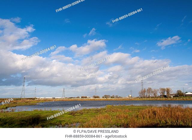A view of wetland habitat at RSPB Saltholme, Middlesbrough, Teesside. October