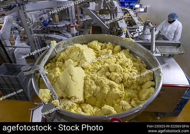 PRODUCTION - 20 September 2023, Saxony, Weidensdorf: Dumplings are formed and packed by machine in a Friweika eG plant in Weidensdorf
