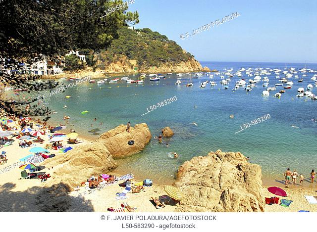 Tamariu Cove (Cala de Tamariu). Girona province. Costa Brava. Catalonia. Spain