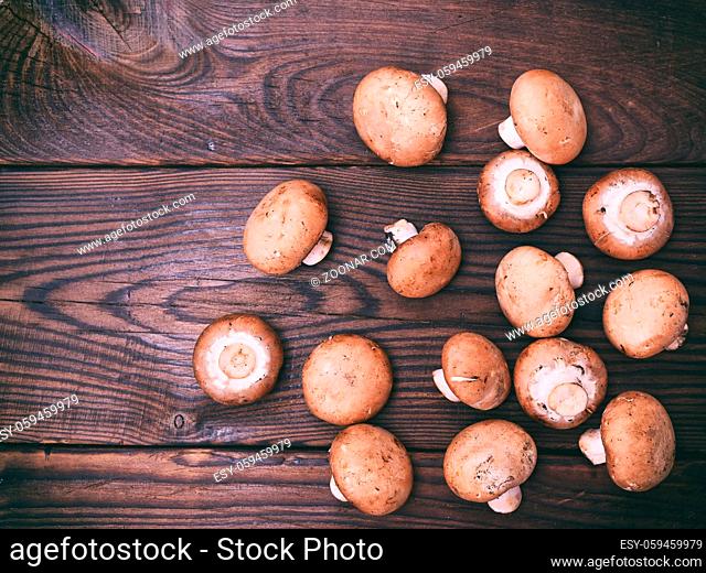 Fresh mushrooms champignons on a brown wooden background, empty space