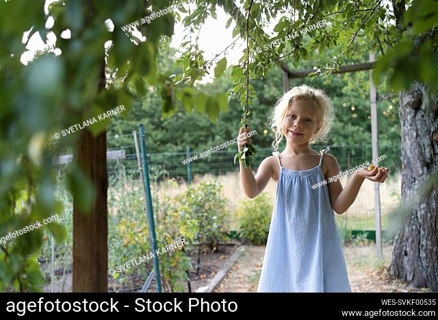 Smiling girl holding prunes and stem of tree in garden