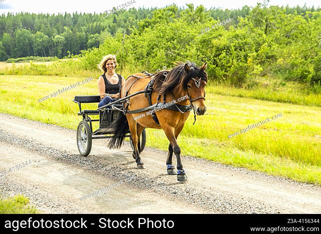 Blond girl in a horse cart in Sweden