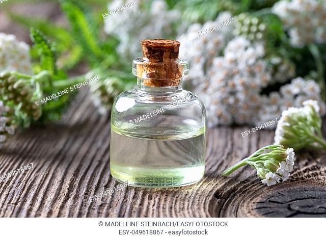 A bottle of essential oil with fresh blooming yarrow in the background