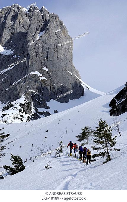 Backcountry skiers ascending to Ellmauer Tor, Kuebelkar, Wilder Kaiser, Kaiser range, Tyrol, Austria