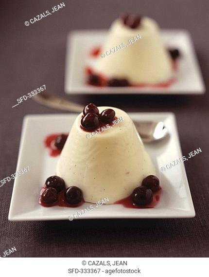 Yogurt mousse with blueberries and pacharán anise-sloe liqueur