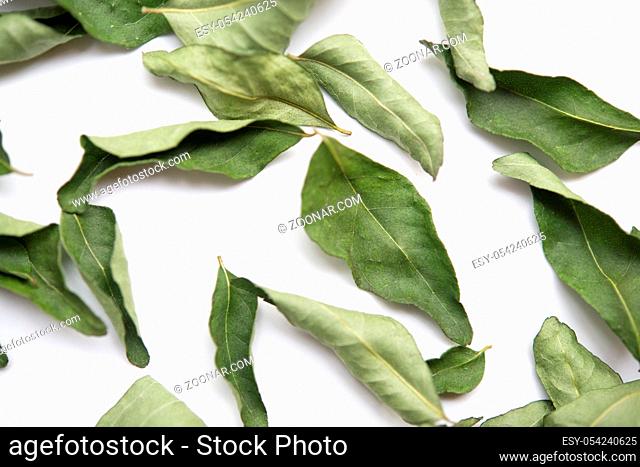 Close up dried curry leaves on white background