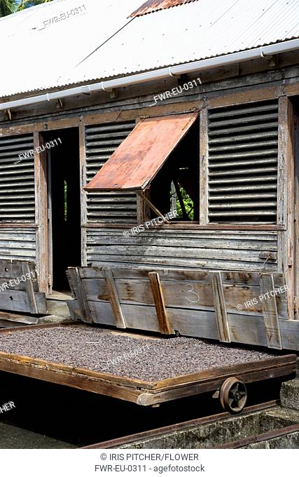 West Indies, Windward Islands, Grenada Cocoa beans drying in the sun on retractable racks under the drying sheds at Dougaldston Estate plantation in St John...