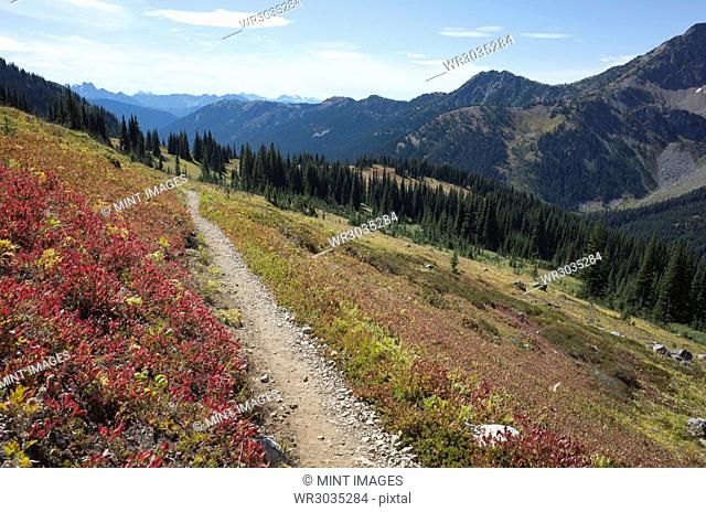 Hiking trail in the North Cascades, Pacific Crest Trail through pristine alpine wilderness, autumn, near Granite Pass, Pasayten Wilderness