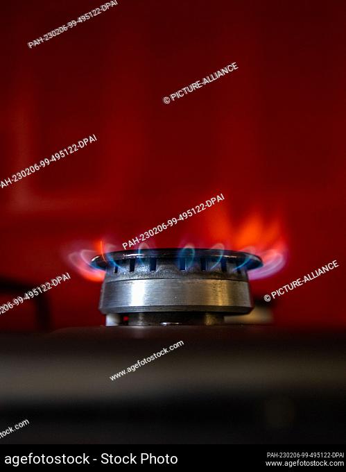 06 February 2023, Hesse, Frankfurt/Main: The flame of a gas stove burns in a kitchen. The price and availability of gas has been a recurring theme in politics...