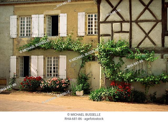 Vines and roses on the front of a house at Verneuil en Courbonnais, Allier, in the Auvergne, France, Europe