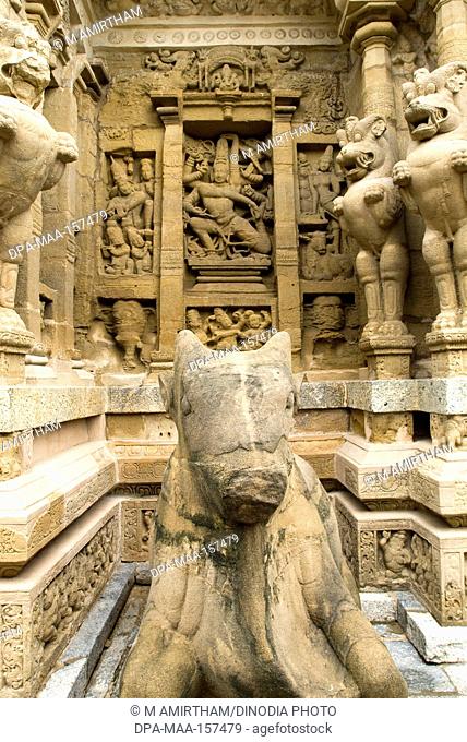 Kailasanatha temple in sandstones built by Pallava king Narasimhavarman & son Mahendra eight century in Kanchipuram ; Tamil Nadu ; India