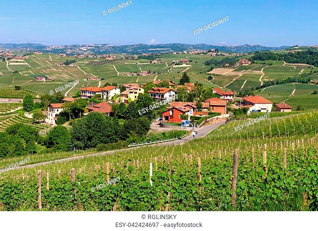 View of green vineyards and small village on background near Barolo, Piedmont, Northern Italy