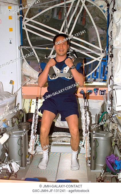Astronaut Edward T. Lu, Expedition 7 NASA ISS science officer and flight engineer, wearing squat harness pads, performs knee-bends using the Interim Resistive...
