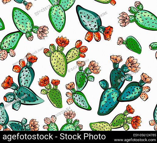 Illustration prickly pear cacti Stock Photos and Images | agefotostock