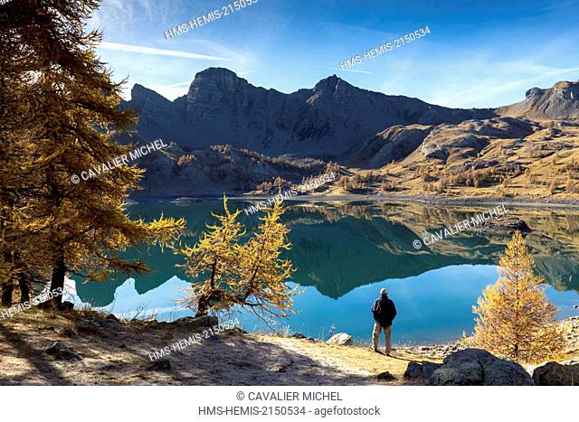 France, Alpes de Haute Provence, Parc National du Mercantour (National park of Mercantour), Haut Verdon, walker contemplating the lake of Allos (2226 m)