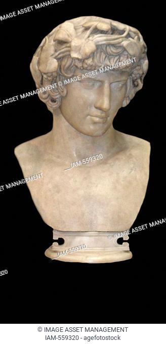 marble bust of Antinous the lover of Hadrian, Roman emperor. Circa 130-138 AD