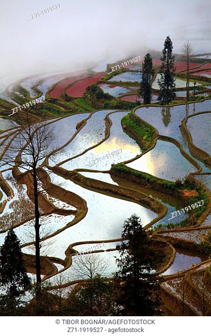 China, Yunnan, Yuanyang, Shengcun, rice terraces