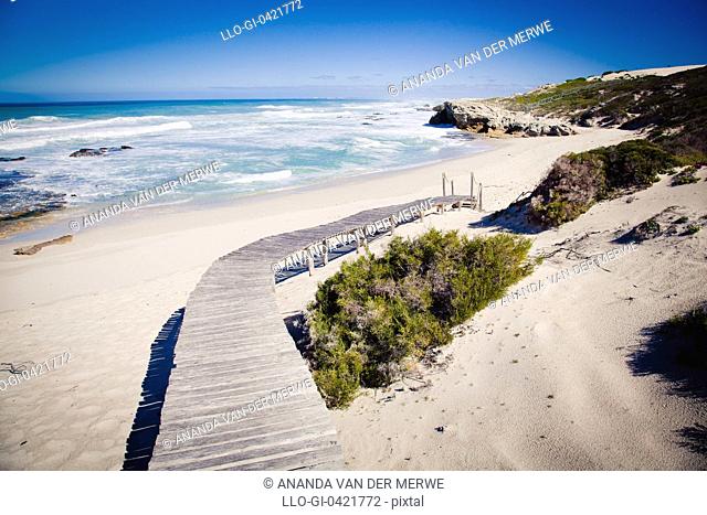 A wooden boardwalk leads through indigenous green shrub onto a beautiful pristine and desolate bay and beach with waves breaking white onto the sand from a blue...