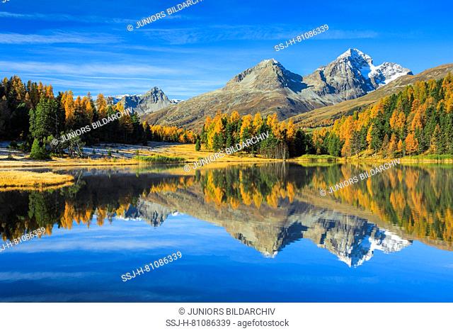 The Piz Albaba and the Piz Julier mirrored in the Lake of Staz (Lej da Staz). Upper Engadin, Graubuenden, Switzerland