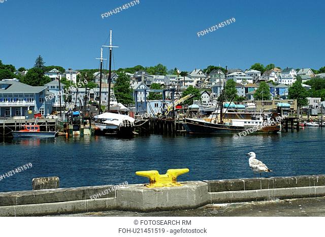 Gloucester, MA, Massachusetts, Cape Ann, harbor