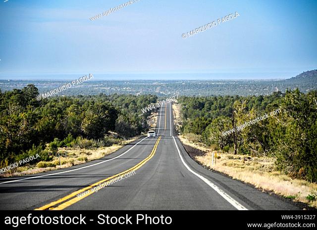 Very straight road going towards Grand Canyon National Park, with some clouds on the horizon and nice green trees on each side of the road