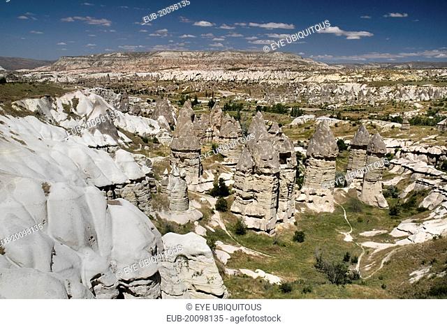 Love Valley. Group of phallic shaped fairy chimney rock formations in volcanic tufa landscape of rock outcrops and pinnacles in valley outside Goreme