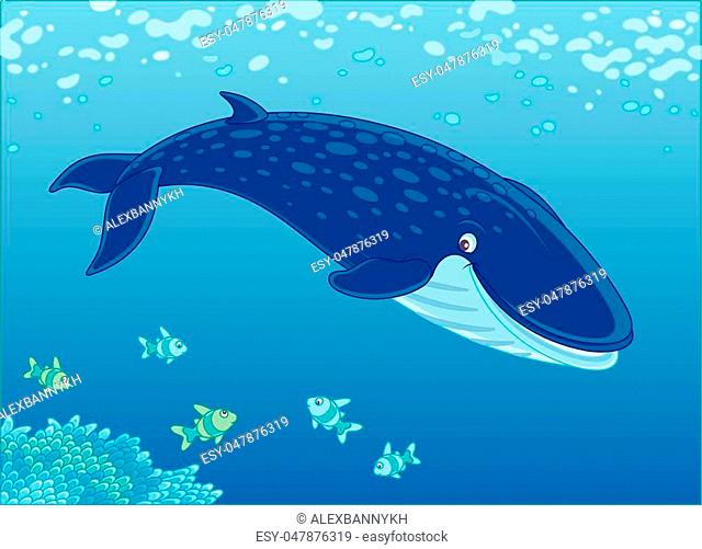 Blue whale cartoon Stock Photos and Images | agefotostock