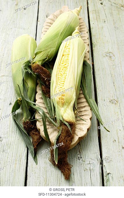 A corn cob in a wooden dish