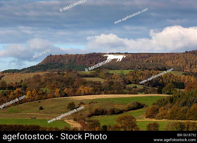 Kilburn White Horse hill figure on hillside, near Kilburn, Vale of York, North Yorkshire, England, United Kingdom, Europe