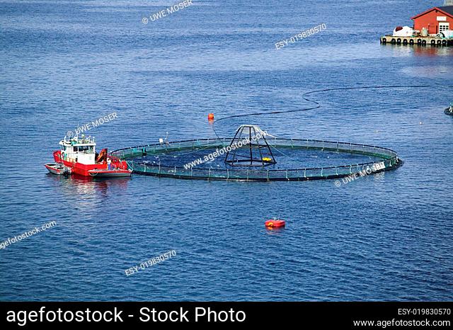 Fischfarm, Aquakultur in Norwegen