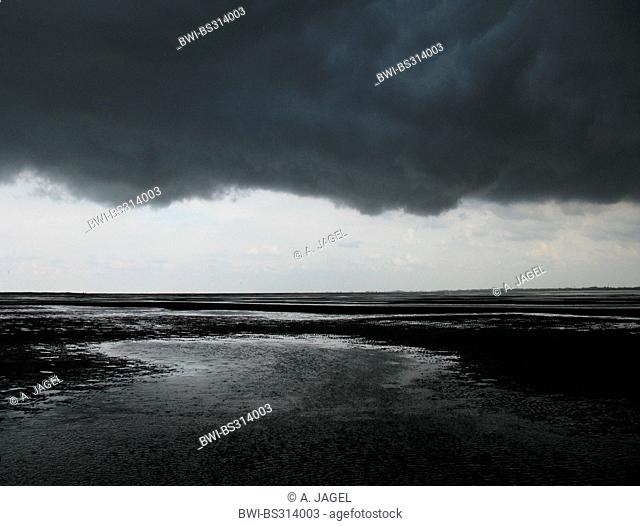 approaching thunderstorm over the wadden sea, Germany, Baltrum, Lower Saxony Wadden Sea National Park