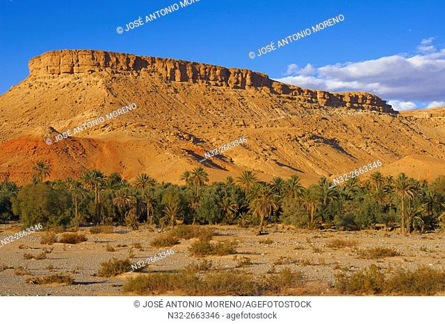 Oasis, Goulmina, Errachidia province, MeknÂ. s-Tafilalet Region, Morocco, North Africa