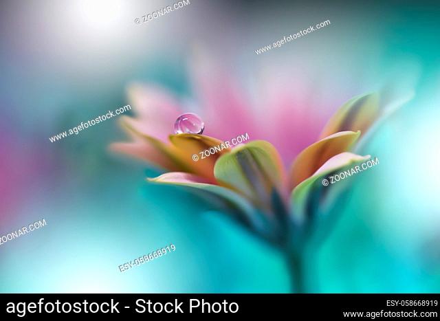 Beautiful macro shot of magic flowers.Border art design. Magic light.Extreme close up macro photography.Conceptual abstract image.Fantasy Art