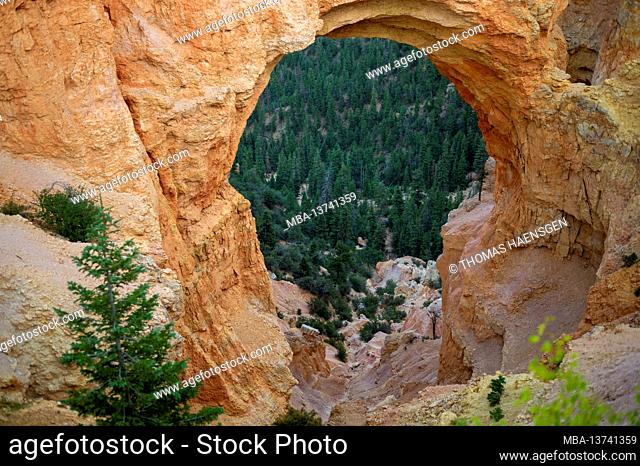 Natural Bridge, a massive 85-ft. red-rock arch carved out of sedimentary red rock by geologic forces over millions of years