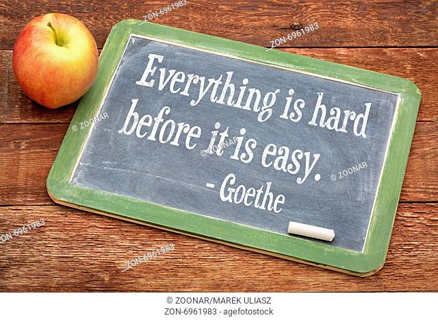 Goethe quote on life and learning