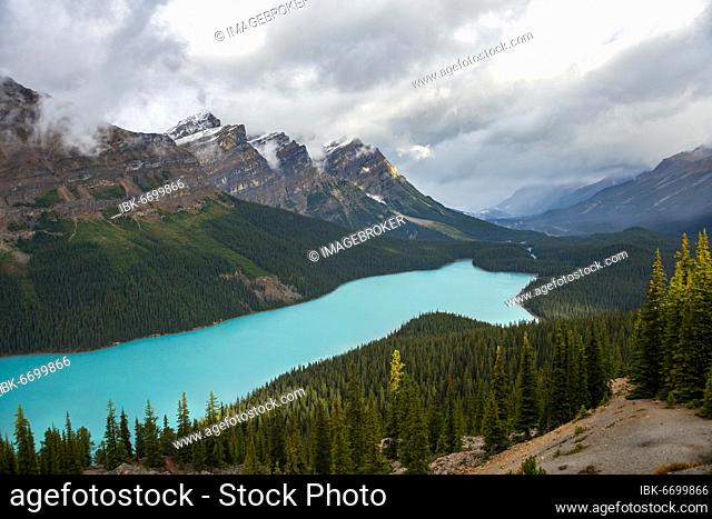 Cloudy mountain peaks, turquoise glacial lake surrounded by forest, Peyto Lake, Rocky Mountains, Banff National Park, Alberta Province, Canada, North America
