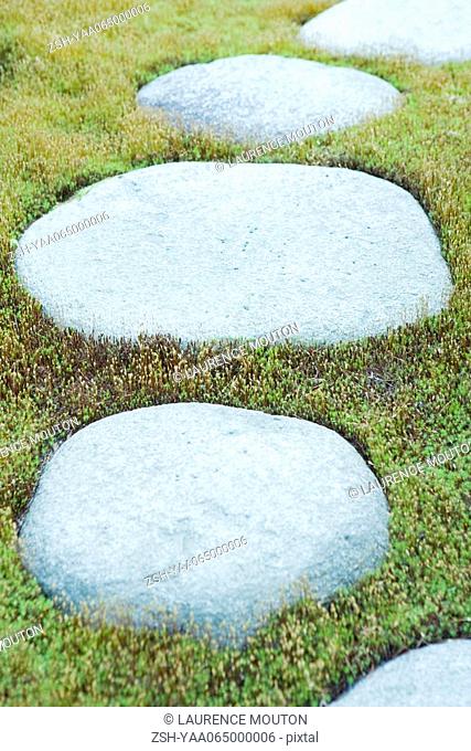 Stepping stones in grass, close-up