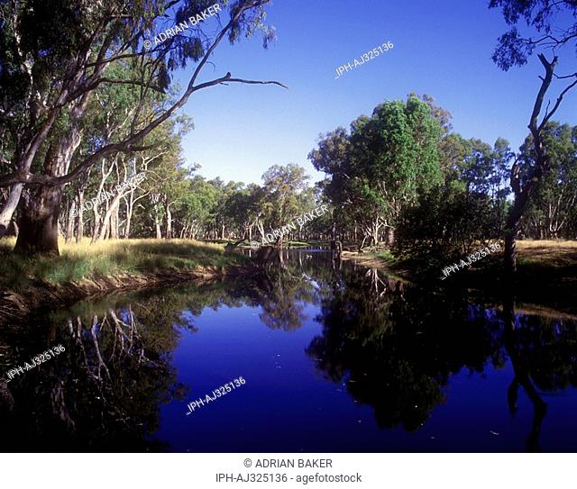 The beautiful Great Red River Gum Forest on the River Murray near Yarrawonga