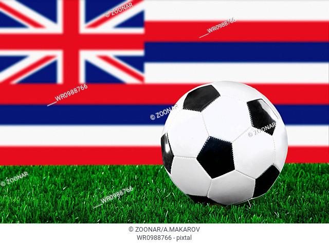 flag and soccer ball on the green grass