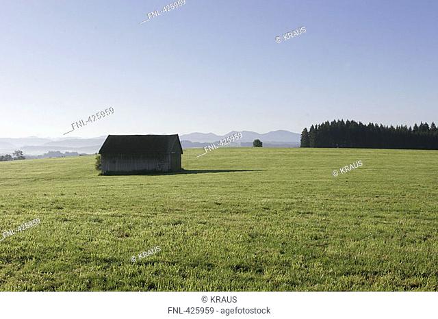 Hut in field, Baden-Wuerttemberg, Germany